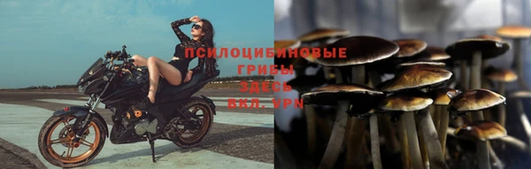 гидра Нязепетровск