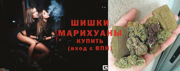 СК Новозыбков
