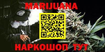 шишки Гусиноозёрск