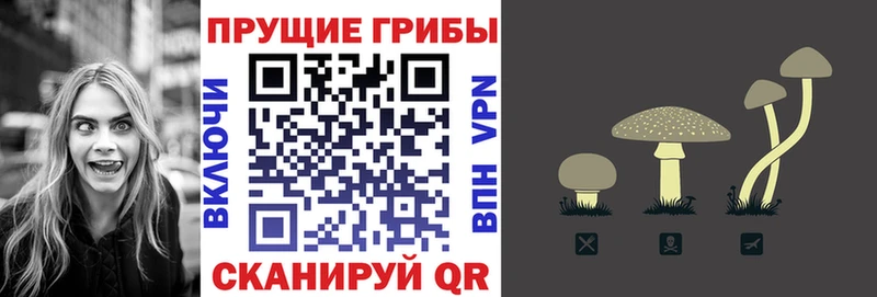 Галлюциногенные грибы GOLDEN TEACHER  Котовск 
