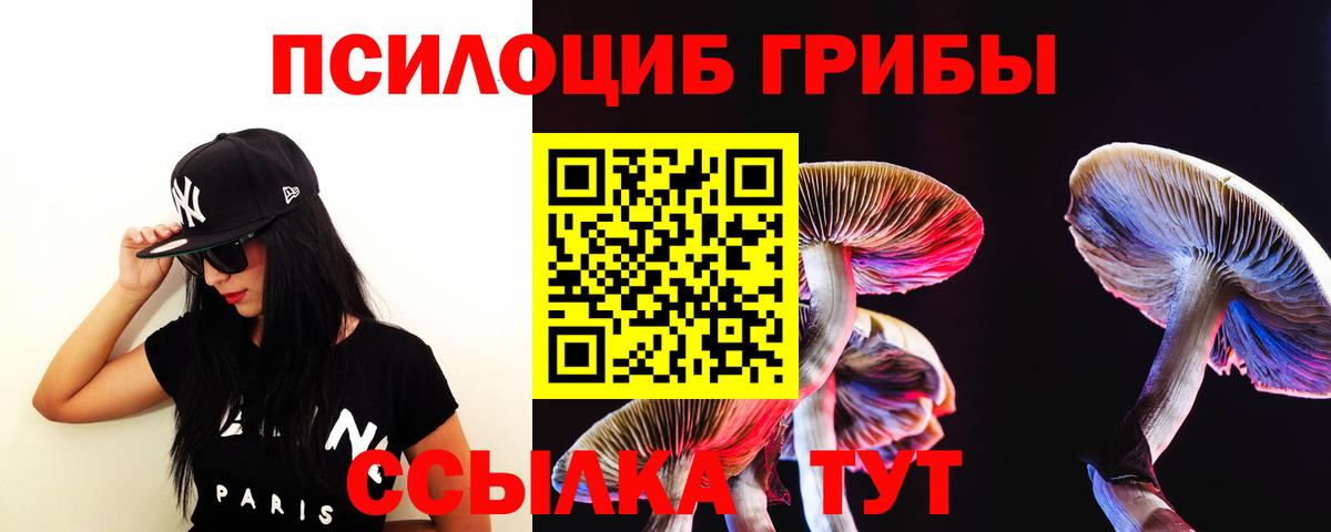 Галлюциногенные грибы MAGIC MUSHROOMS  Вход с VPN  Котовск  Галлюциногенные грибы Cubensis 