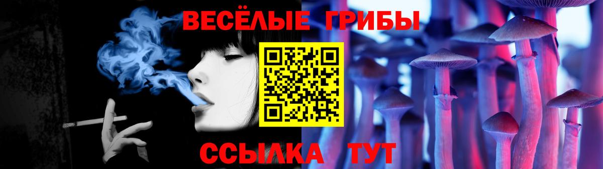 Галлюциногенные грибы Psilocybe  Котовск  Псилоцибиновые грибы ЛСД 