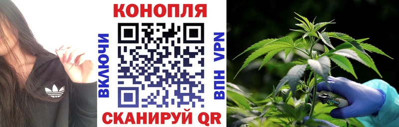 Шишки марихуана Ganja  Котовск 